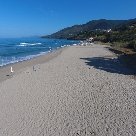 Residence Le Palme - Appartamenti Sul Mare - Spiaggia Tra Palinuro E Caprioli Пишотта Экстерьер фото